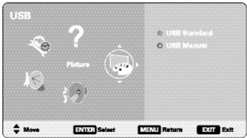 SANYO DP42849 - JPEG VIEWER USB MENU - 4