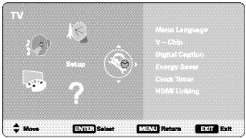 SANYO DP42849 - DIGITAL CAPTION - 4