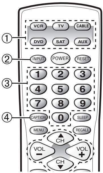 SANYO DS31520 - TECLAS DEL CONTROL REMOTO - 2