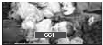 CC1