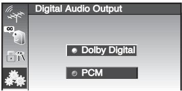 Digital Audio Output Dolby Digital PCM