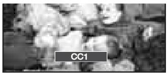 CC1