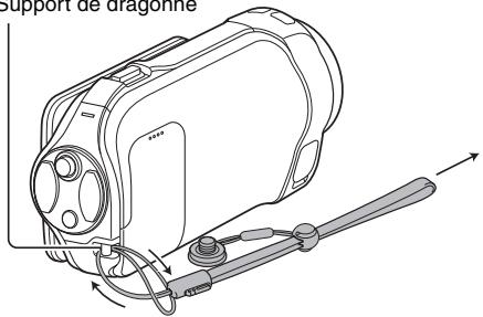 SANYO VPC-SH1TA - - Dragonne - 1