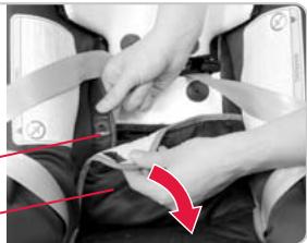 BRITAX BABY-SAFE PLUS SHR II - Le siège auto ne doit pas être utilisé sans housse. - 2