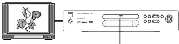 NAD T531 - PREPARATION - 2