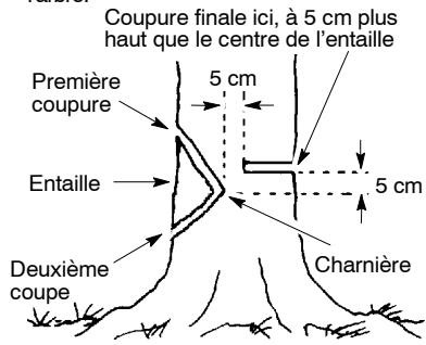 MCCULLOCH MC4218AV - Entaille et SENS d'abattage de l'arbre - 1