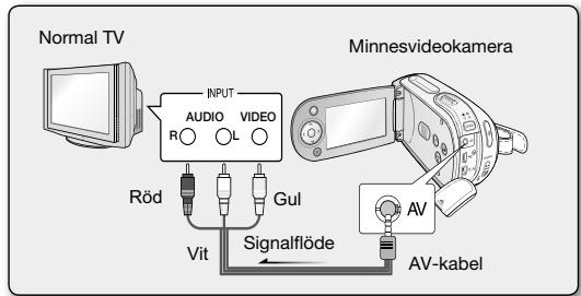 Normal TV INPUT AUDIO VIDEO R L Röd Gul Vit Signalflöde Minnesvideokamera AV AV-kabel