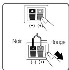 SAMSUNG HT-D5550 - Connexion des enceintes - 1