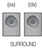 SAMSUNG HT-D5550 - Componenti dei diffusori - 2