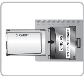 SAMSUNG HE46A - Verwendend der „Cl“- oder „Cl+“-Karte - 2