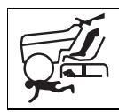 MTD MINIRIDER 60 - Symboles sur l'appareil - 3