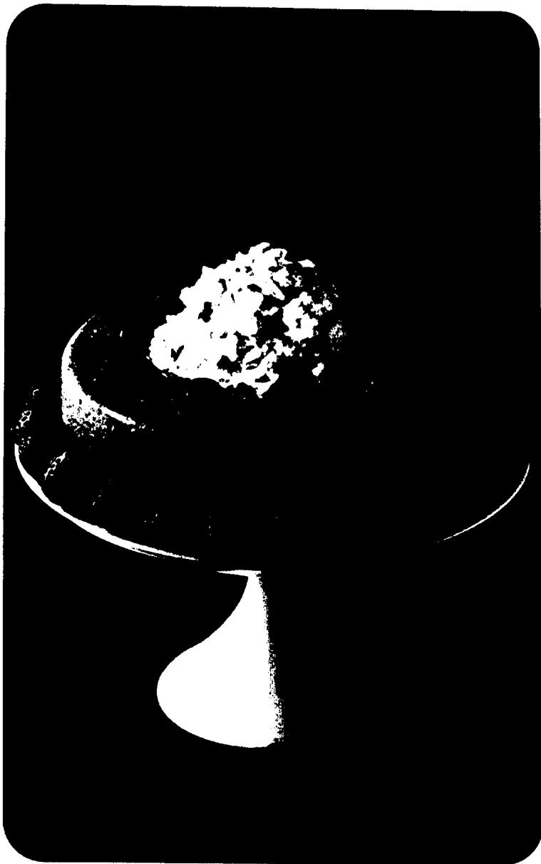 SEB 321 SORBETIÈRE - Glace express aux fruits - 1