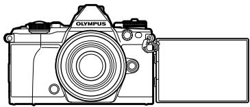 OLYMPUS E-M5 MARK II - Cadrez la vue. - 1