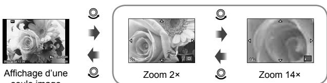 OLYMPUS E-M5 MARK II - Affichage en gros plan - 1