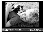 OLYMPUS E-M5 MARK II - MENU → ⚙→ ⚙J → [Viseur électronique] - 1