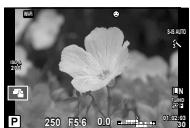 OLYMPUS E-M5 MARK II - Cadre de zoom AF/zoom AF (Super Spot AF) - 1