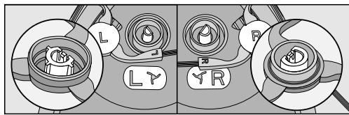 MIELE SCOUT RX1 - Limpiar los cepillos laterales - 2