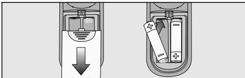 MIELE SCOUT RX1 - Batteriewechsel an der Fernbedienung - 1