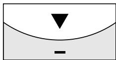 MIELE SCOUT RX1 - Setting the timer - 3