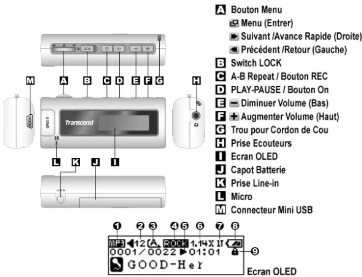 TRANSCEND TS1GMP520C - Présentation Du Produit - 1