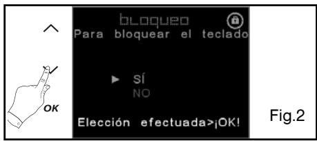 DE DIETRICH DOP1180X - - 4 - Bloqueo de los mandos - 2