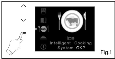 DE DIETRICH DOP1180X - OPERATING THE ICS FUNCTION: - 1