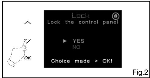 DE DIETRICH DOP1180X - 4-Lock controls - 2