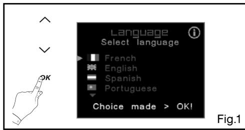 DE DIETRICH DOP1180X - - Languages - 1