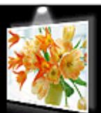 CANON PIXMA PRO-100 S - Manuel en ligne - 3