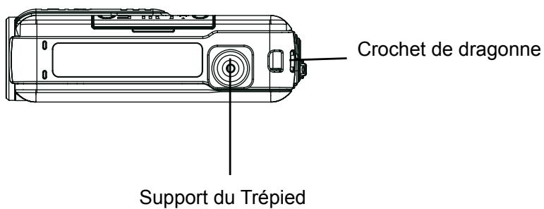 TOSHIBA CAMILEO S10 - Remarque - 4