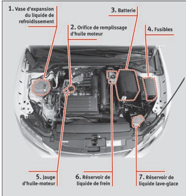 SEAT LEON 2020 - Vue extérieure - 1