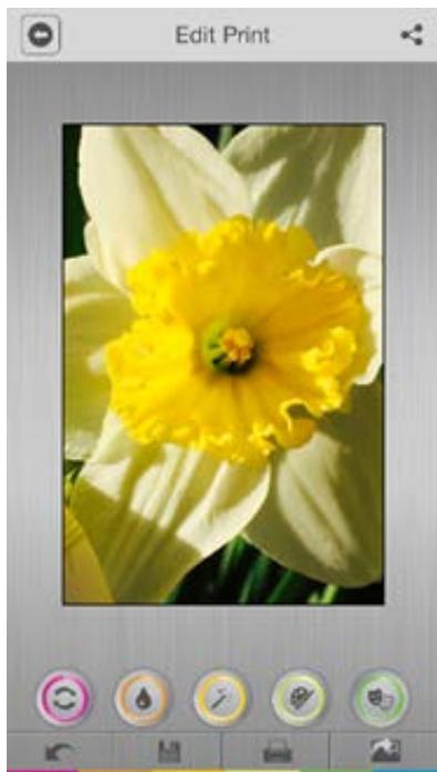 POLAROID MOBILE ZIP - Editing Quick Tips - 2
