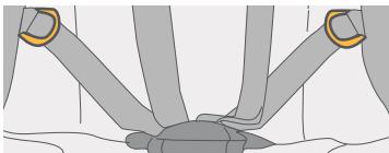 SAFETY FIRST COMPA'CITY - ADVERTENCIA : - 1