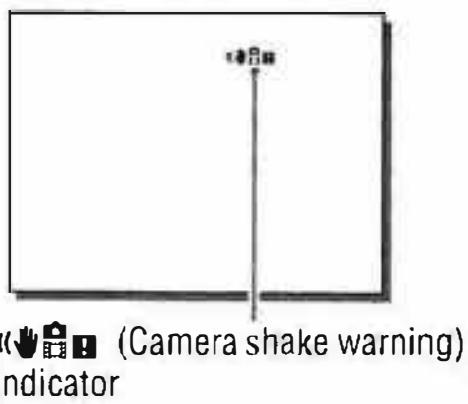 SONY ALPHA A580 - Camera shake warning indicator - 1