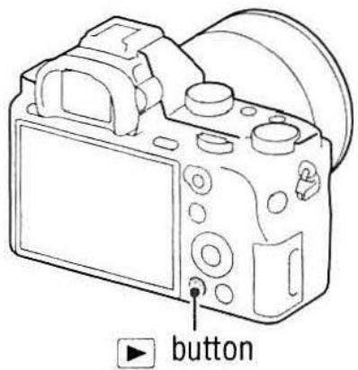 SONY ALPHA A580 - Playing back images - 1