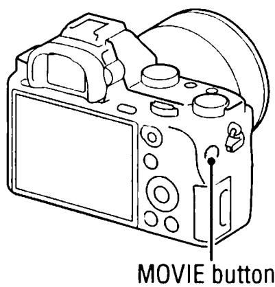 SONY ALPHA A580 - Press the MOVIE button to start recording. - 1