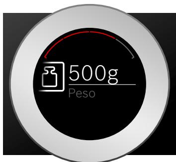 BOSCH BFR634GS1 - Display - 1