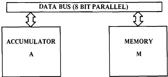 ERARD 6502 - THE DATA BUS - 1