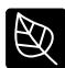 NEFF B3CCE2AN0 - Attention! - 1