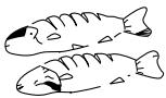 DAEWOO KOR6LM07B - Arranging food - 6