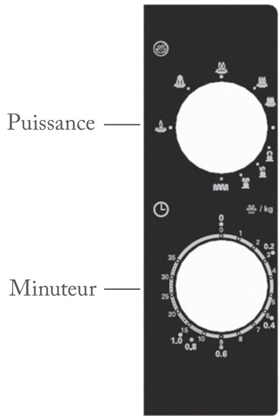 FAR FMOG20BR - Panneau de contrôle et caractéristiques - 1