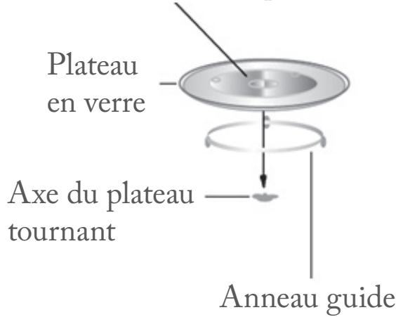 FAR MOG25X - Installation du plateau tournant - 1