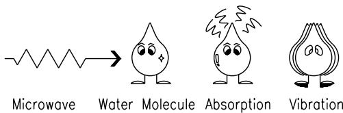 Microwave Water Molecule Absorption Vibration