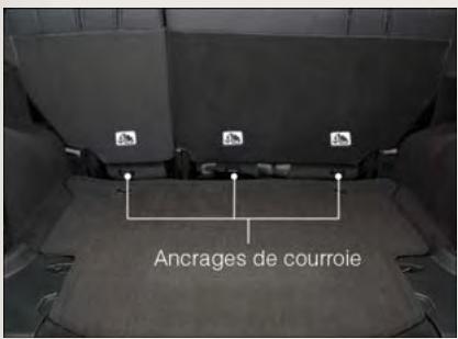Ancrages de courroie