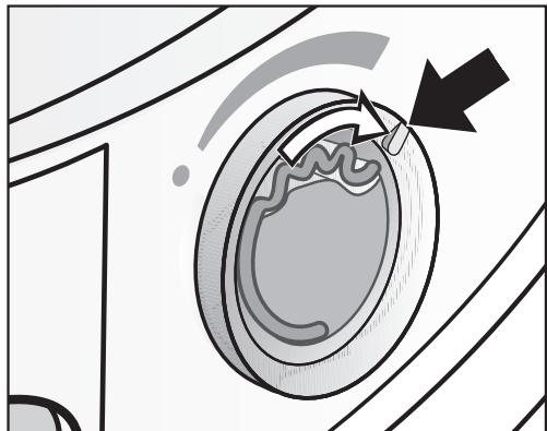 MIELE TDB230WP - Avant le séchage - 1