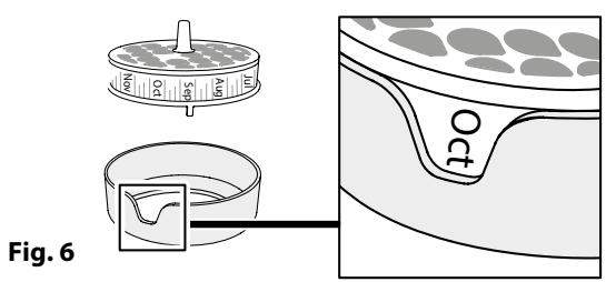 Fig. 6