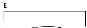 MOULINEX LM924500 - Moulinex® - 2