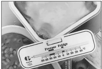 Freezer Fridge -50 40 50 60 70 80 90 100 110 120 130 140 150 160 170 180 190 200 210 220 230 240 250 260 270 280 290 300 310 320 330 340 350 360 370 380 390 400 410 420 430 440 450 460 470 480 490 500 510 520 530 540 550 560 570 580 590 600 610 620 630 640 650 660 670 680 690 700 710 720 730 740 750 760 770 780 790 800 810 820 830 840 850 860 870 880 890 900 910 920 930 940 950 960 970 980 990 BALANCE