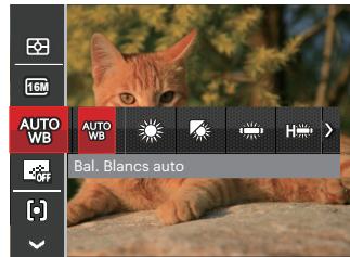 AUTO WB AUTO WB Bal. Blancs auto