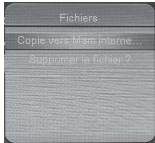 ESSENTIELB EC-8 - Copier / supprimer un fichier - 1